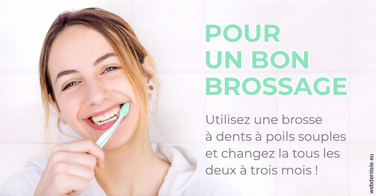 https://selarl-cabinet-sayac-et-associes.chirurgiens-dentistes.fr/Pour un bon brossage 2