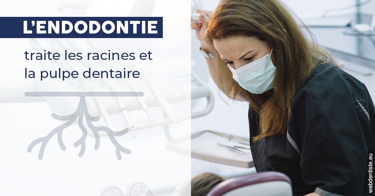 https://selarl-cabinet-sayac-et-associes.chirurgiens-dentistes.fr/L'endodontie 1