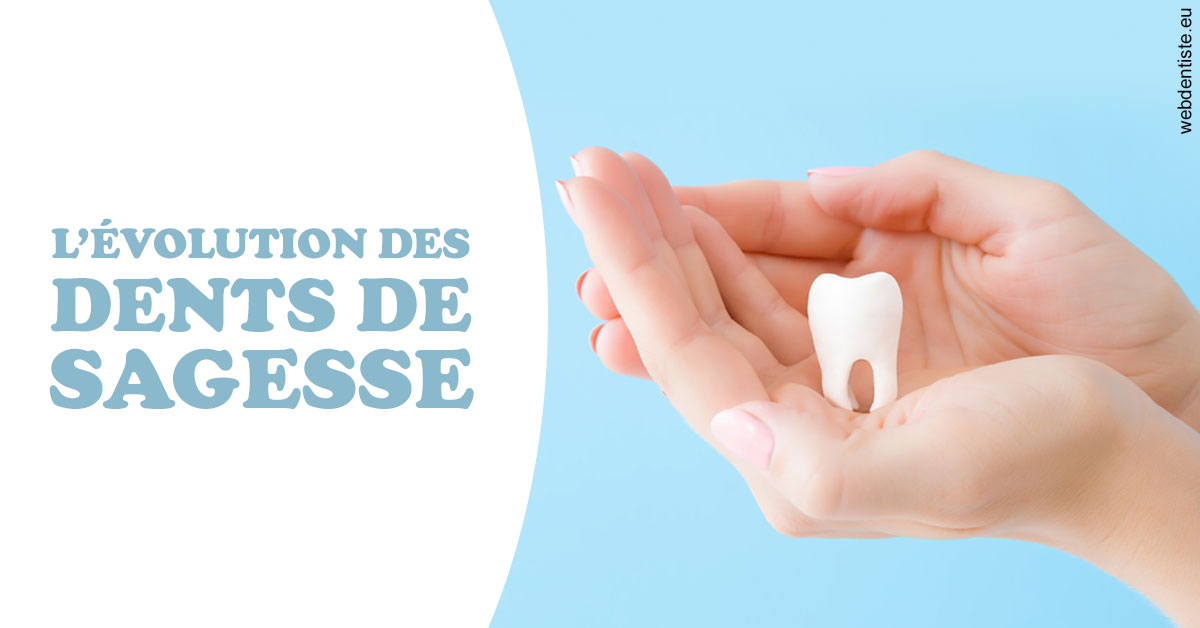 https://selarl-cabinet-sayac-et-associes.chirurgiens-dentistes.fr/Evolution dents de sagesse 1