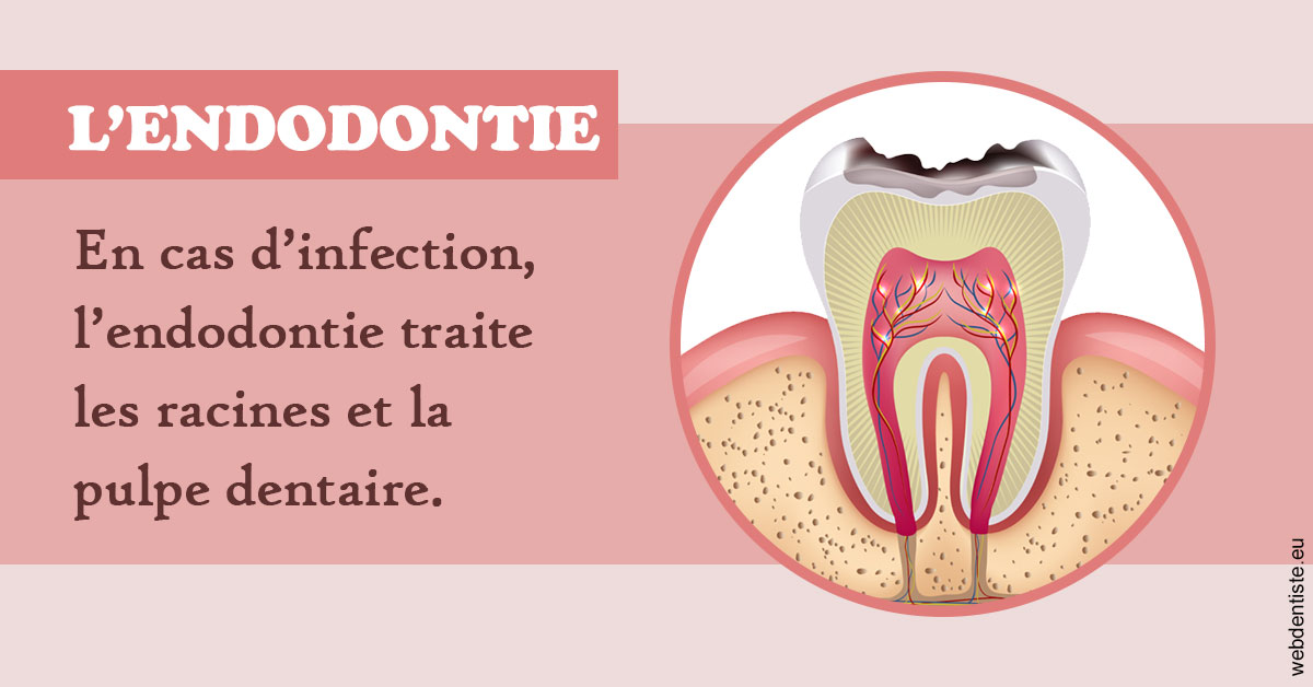 https://selarl-cabinet-sayac-et-associes.chirurgiens-dentistes.fr/L'endodontie 2